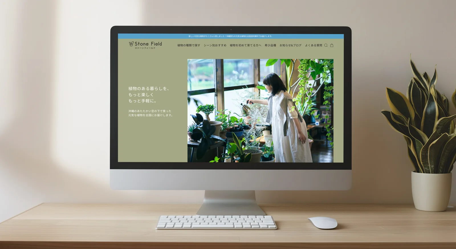 観葉植物EC実例