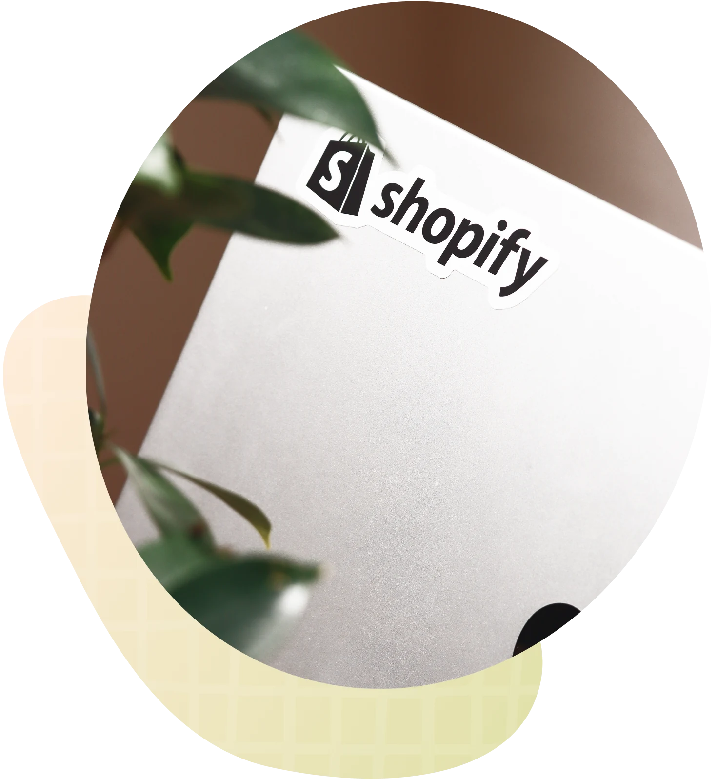 Shopifyのロゴ入りボックスと観葉植物